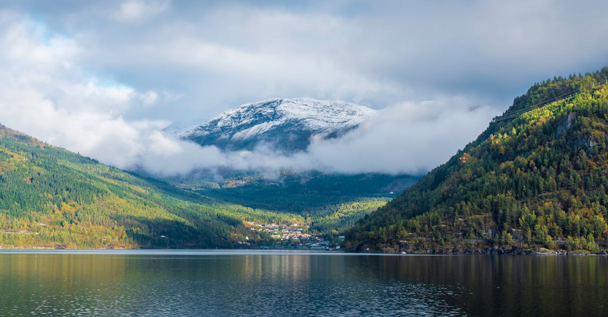 Is Norwegian Easy to Learn? The Scandinavian Shortcut